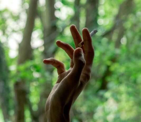 Südfrankreich im Feuer-Modus: Rote Alarmstufe – Waldbrände drohen in den Bouches‑du‑Rhône Waldbrandgefahr