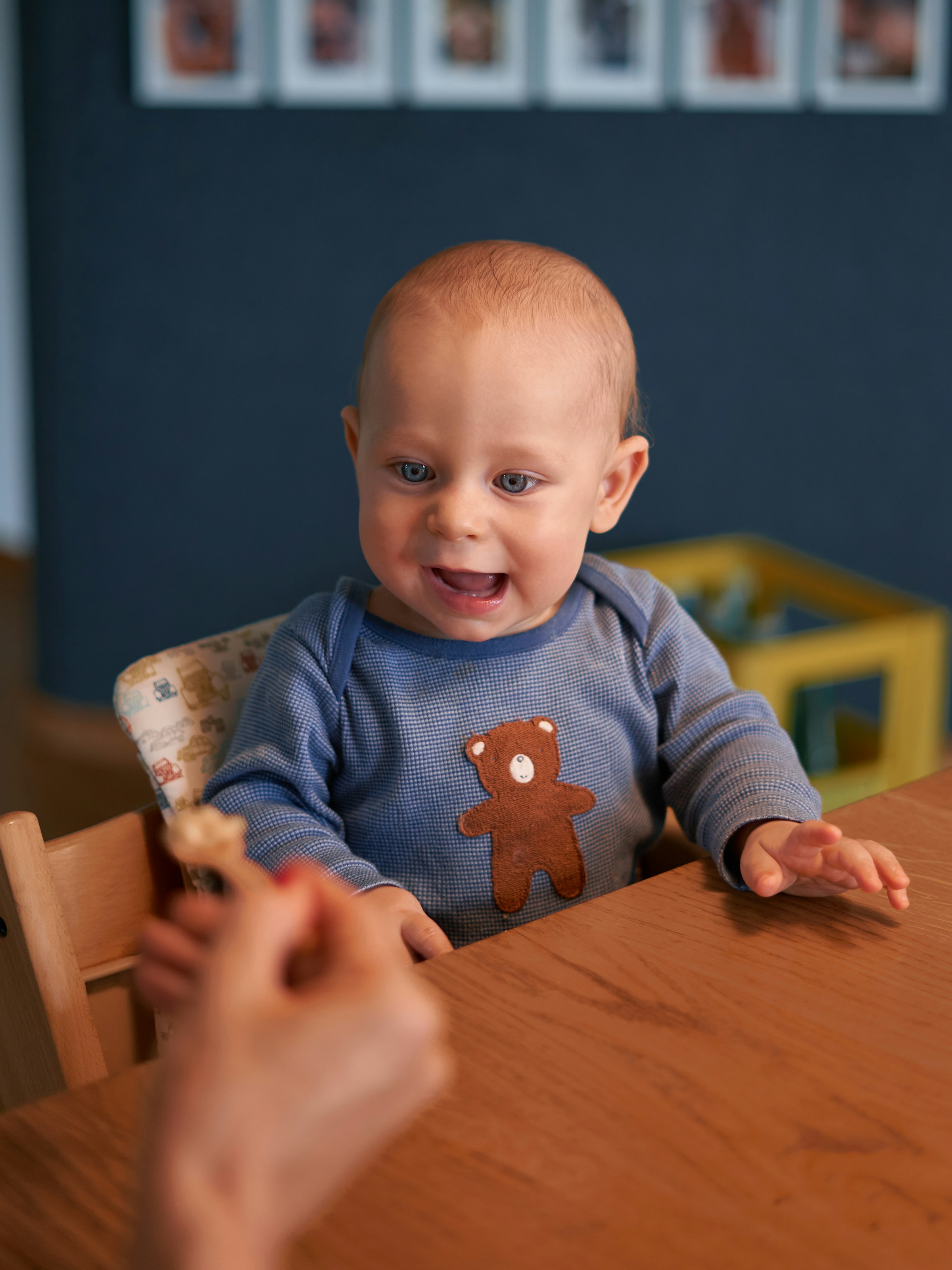 Artikel 4: Die Rolle der Ernährung - was und wann Babys essen sollten