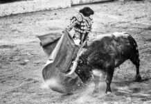 Brutale Tierquälerei in Beaucaire: Stierkampf löst Empörung und Klage aus Stierkampf