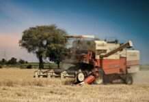 Frankreichs Ernte 2025: Rekordhitze beschleunigt die Mähdrescher – Segen oder Alarmsignal? Ernte_Getreide