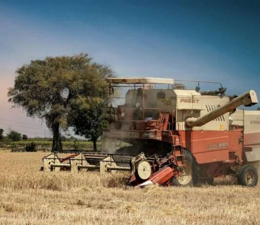 Ein gutes Jahr für die Welt, eine Enttäuschung für Frankreich: Klimawandel und die Getreideernte 2024 Ernte_Getreide