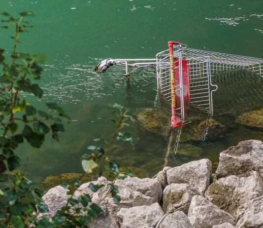 Val-de-Reuil: Ohne Identitätsnachweis kein Einkaufswagen Einkaufswagen_See