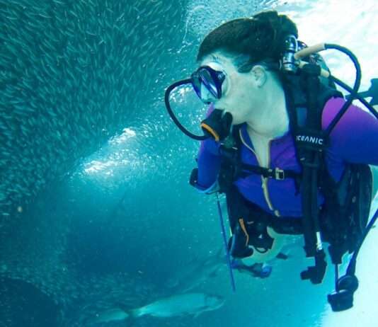 Sicherheit beim Tauchen: So vermeidest du Unfälle unter Wasser Tauchen_Taucher