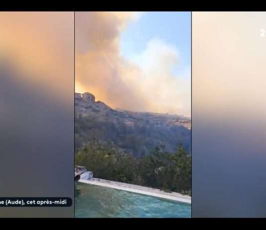 Großbrand bei Narbonne: Über 70 Hektar Vegetation zerstört Brand_Narbonne_ScreenF2