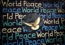 Diplomatie für den Frieden: Hoffnungsträger oder Papiertiger? Frieden