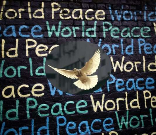 Diplomatie für den Frieden: Hoffnungsträger oder Papiertiger? Frieden