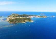 Île des Embiez : Ein verstecktes Paradies vor den Toren Toulons Ile_Embiez