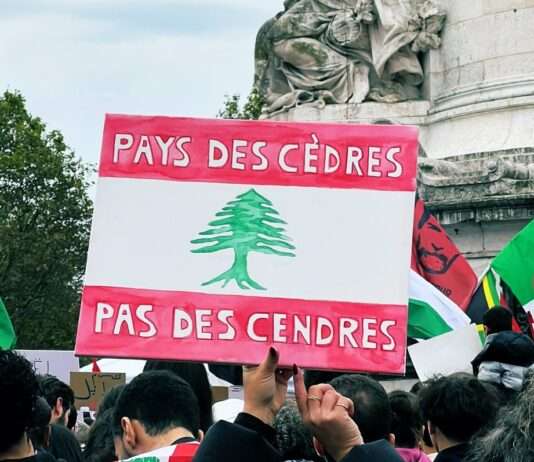 „Man überlebt mehr als man lebt“: Der Hilferuf der libanesischen Gemeinschaft in Paris Libanon_Protest_Paris_ScreenX