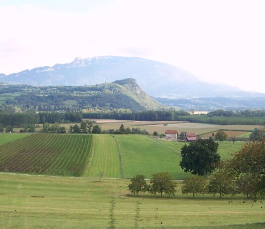 Die Weinregion Bugey: Ein verborgener Schatz in den französischen Alpen Massignieu_de_Rives