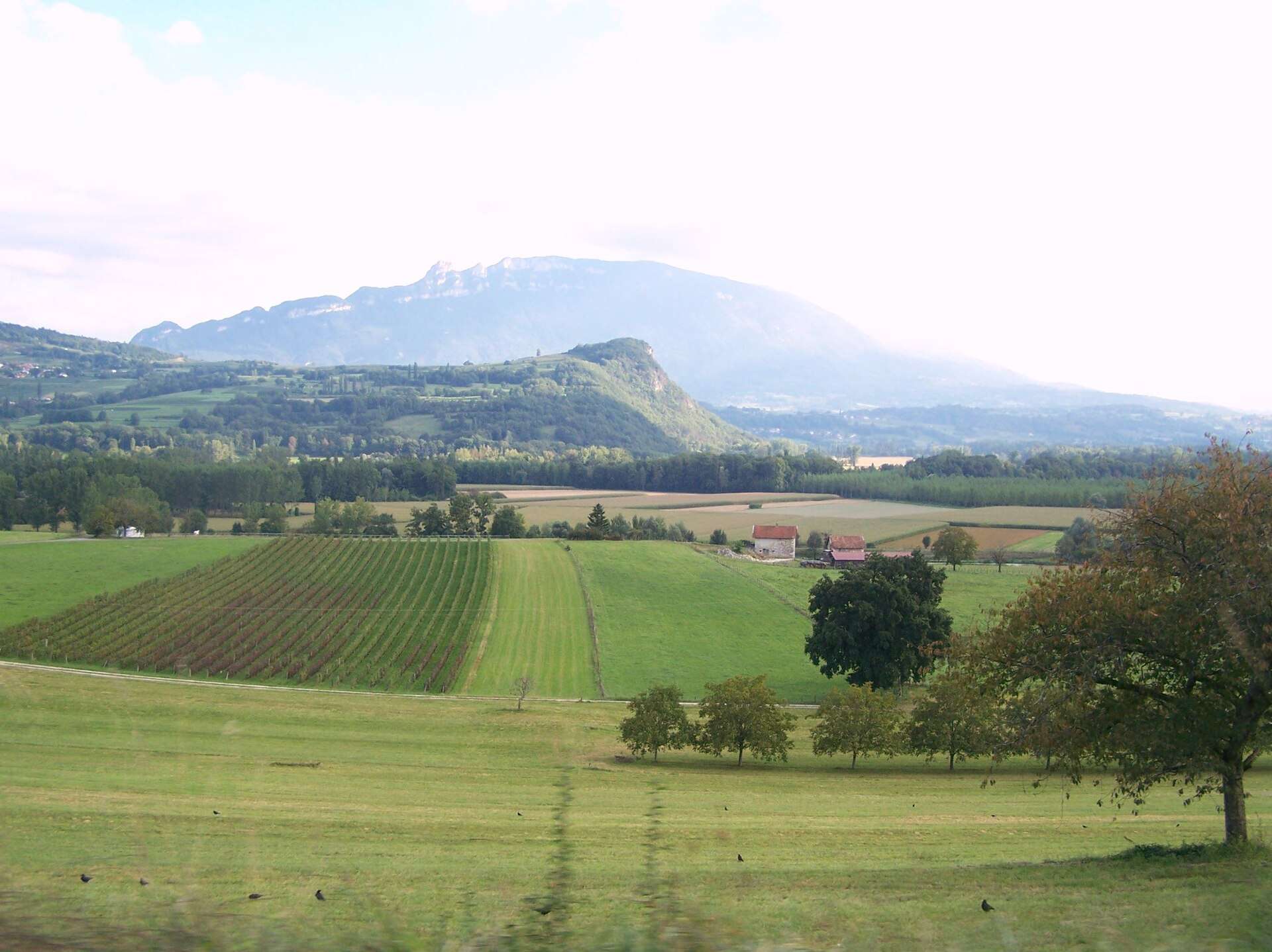 Die Weinregion Bugey: Ein verborgener Schatz in den französischen Alpen