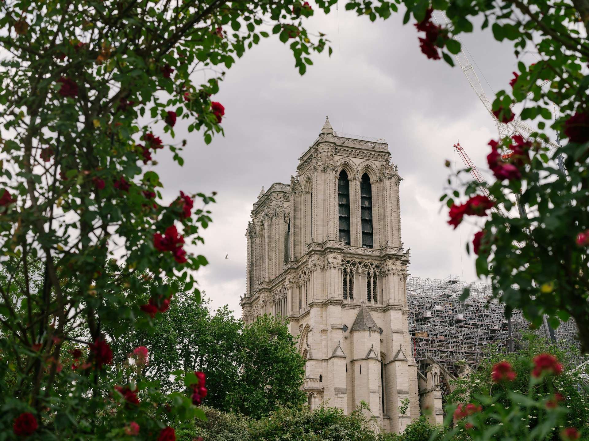 Notre-Dame de Paris – Ein Symbol kehrt zurück