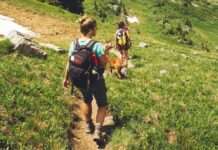 Sommerfrische in der Höhe: Warum die französische Bergwelt zur Trenddestination wird Wandern_Illustration