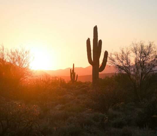 100 Tage Hitzewelle in Phoenix (USA): Die endlose Glut des Sommers 2024 Arizona-Phoenix