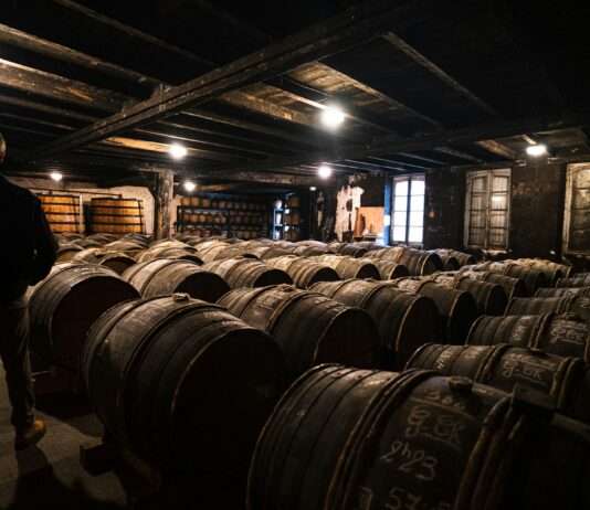 Ein Schluck Geschichte: Eine genussvolle Rundreise durch die Weinregion Cognac Cognac