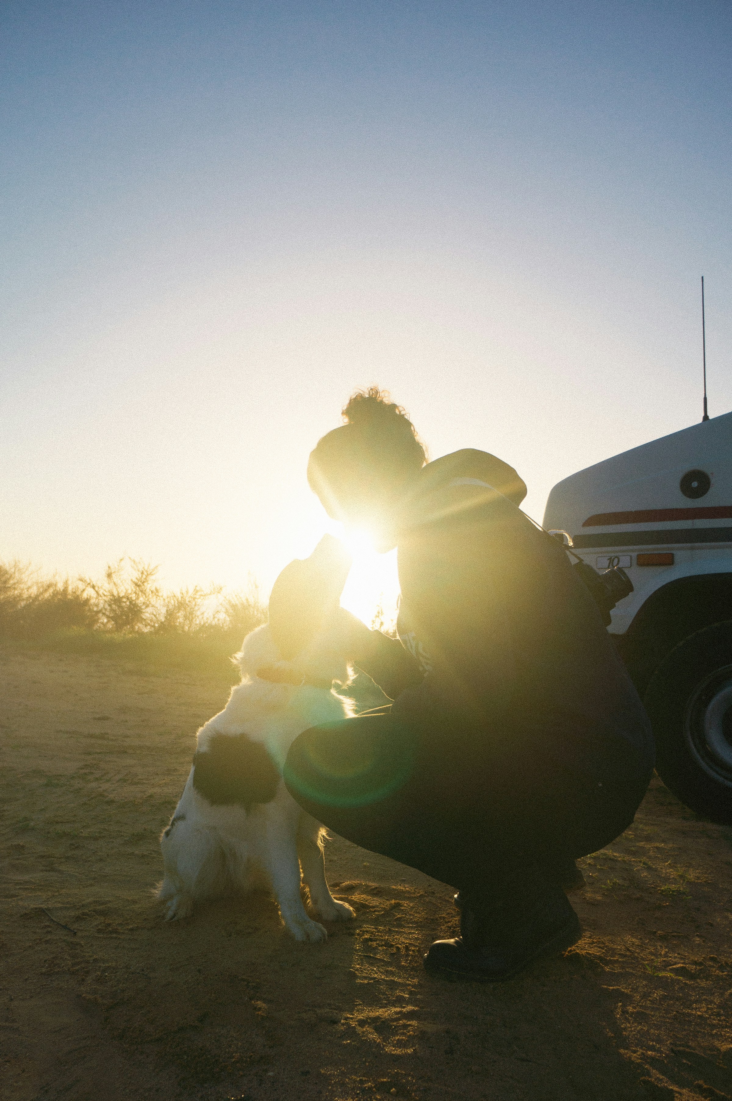 Ferien mit Hund in Frankreich: Ein Überblick