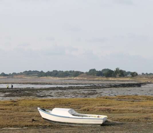 Tascon – Eine Insel wie keine andere: Ein verstecktes Juwel im Golf von Morbihan Ile_Tascon
