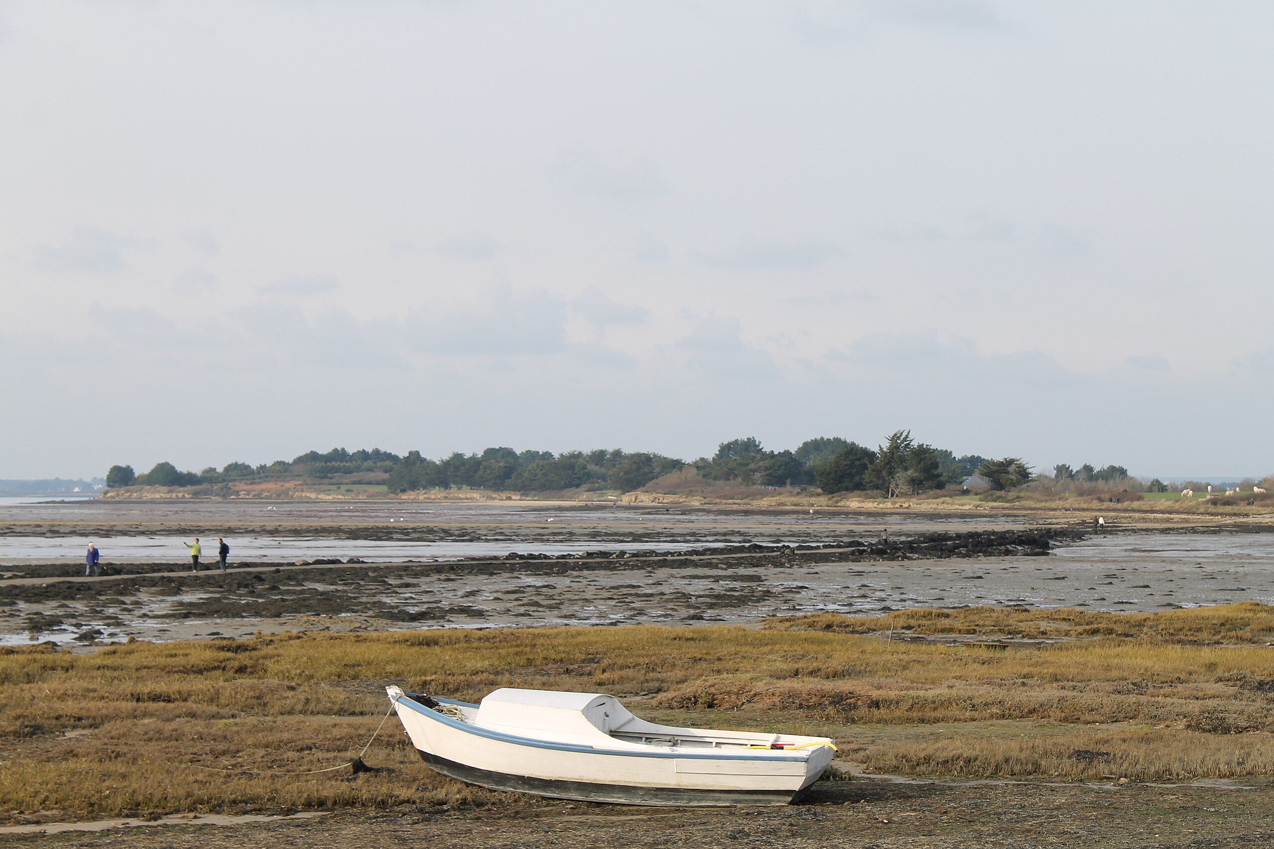 Tascon – Eine Insel wie keine andere: Ein verstecktes Juwel im Golf von Morbihan