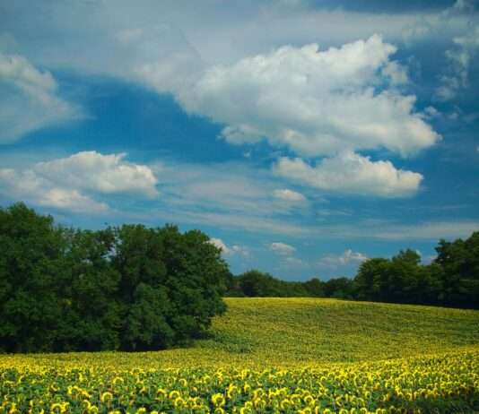 Gers: Eine Rundreise durch das Herz der Gascogne Departement_Gers