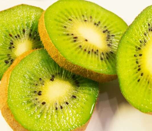 Kiwis zum Selberpflücken – Schnäppchen im Departement Maine-et-Loire Kiwi