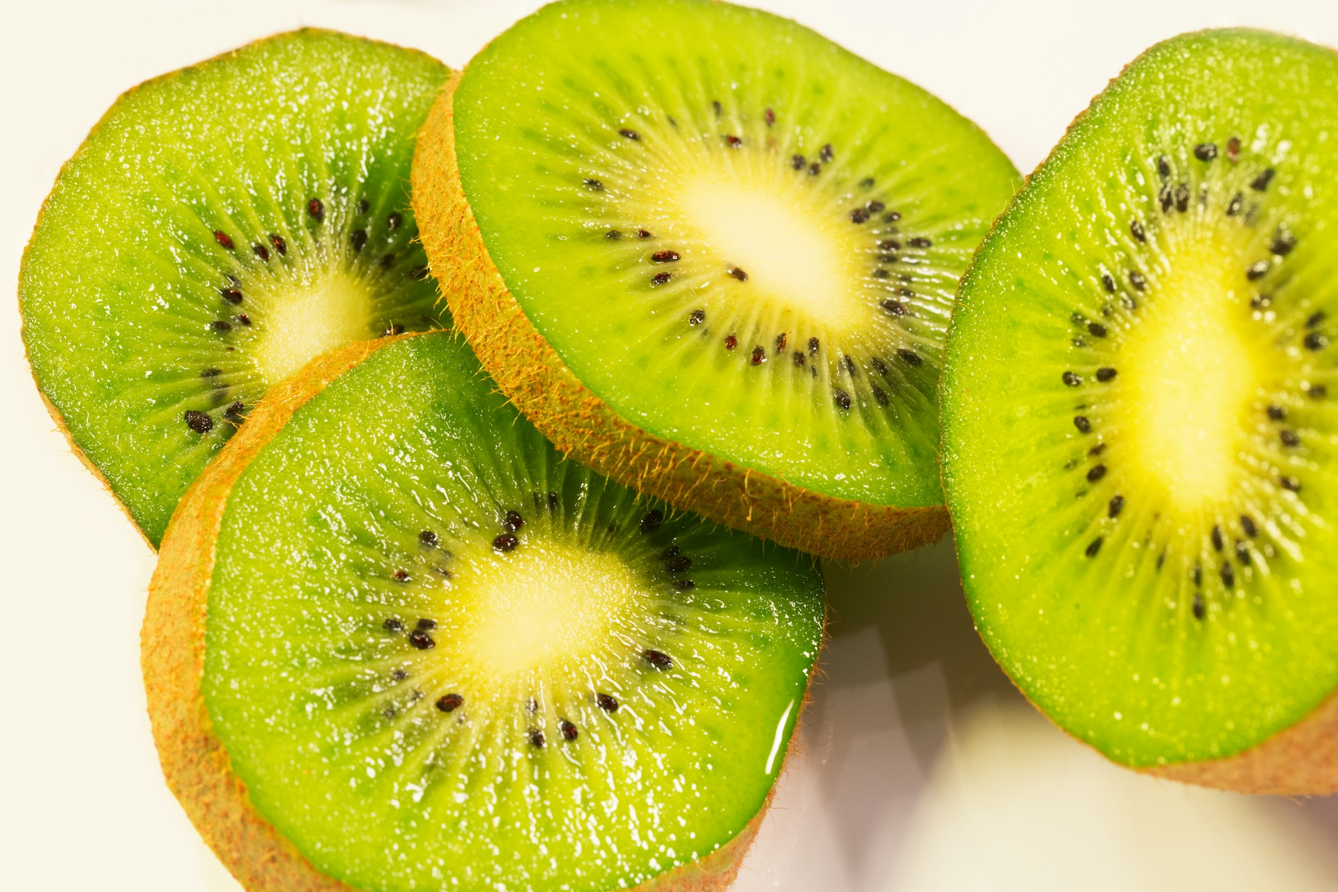 Kiwis zum Selberpflücken – Schnäppchen im Departement Maine-et-Loire