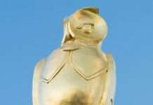 Die Jagd ist vorbei: Die „Chouette d’Or“ nach 31 Jahren entdeckt! goldene_Eule