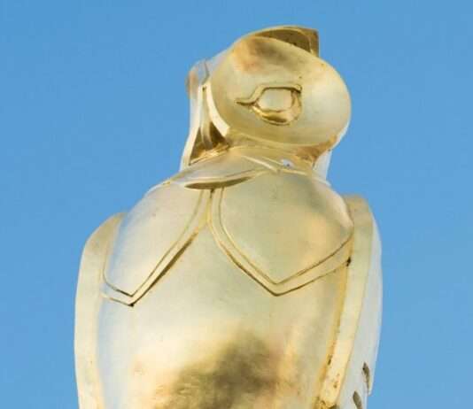 Die Jagd ist vorbei: Die „Chouette d’Or“ nach 31 Jahren entdeckt! goldene_Eule