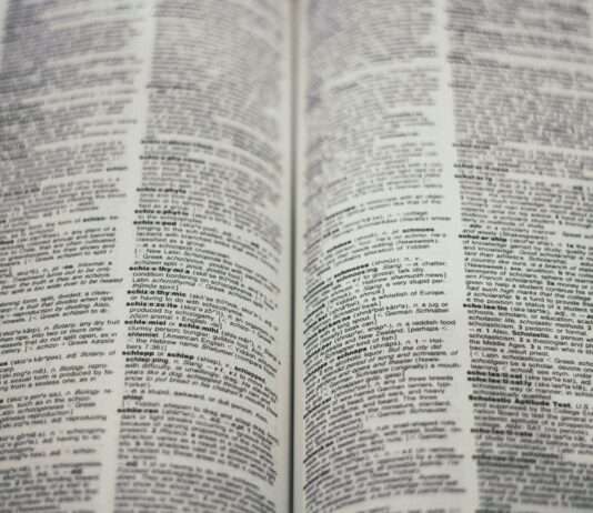 Französisch: Eine lebendige Sprache dank neuer Wörter aus den Vororten Woerterbuch