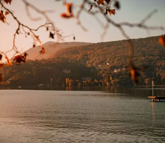 Wiedergeburt eines Weinbergs am Ufer des Lac d’Annecy Lac-d-Annecy