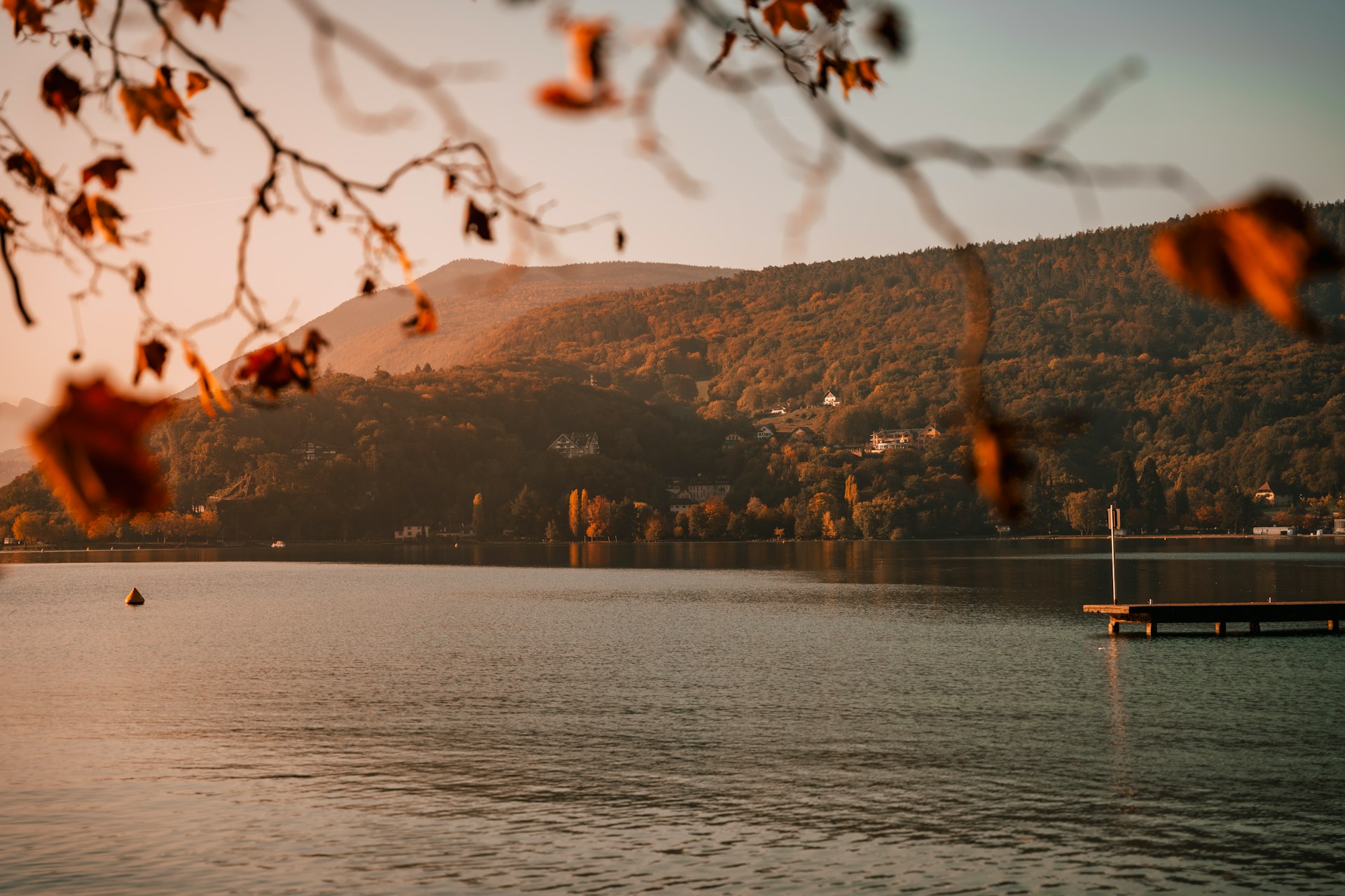 Wiedergeburt eines Weinbergs am Ufer des Lac d'Annecy