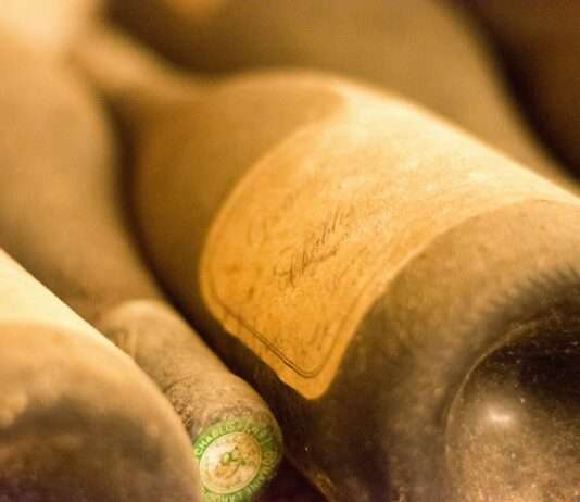 Burgundische Weinträume: Eine Reise durch die edelsten Weingüter Burgunds Burgund