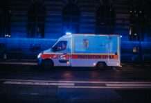 Drama in Pont-de-Claix: Zwei Hunde stürzen sich auf acht Monate altes Baby Rettung_SAMU