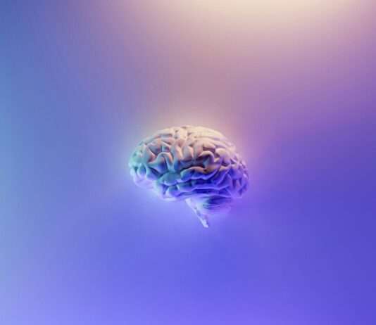 Welt-Schlaganfalltag: Ein Moment der Achtsamkeit für uns alle Gehirn_Illustration