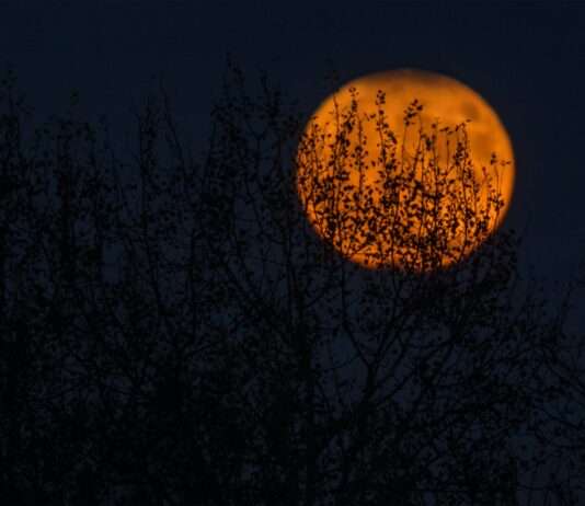 Halloween, Reformationstag und Samhain – Ein Festtag, drei Geschichten Halloween