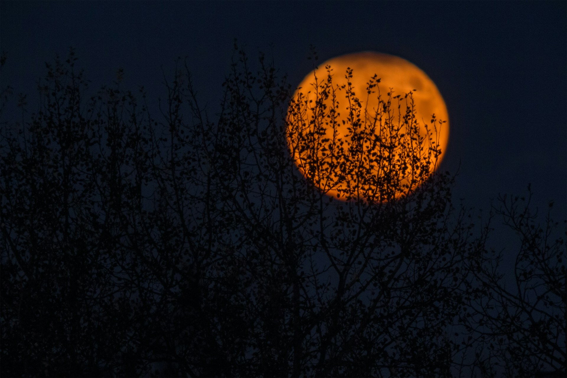 Halloween, Reformationstag und Samhain – Ein Festtag, drei Geschichten