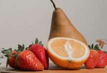 Die „grüne Verordnung“: Bio-Früchte und Gemüse für Schwangere – Ein Modell, das Schule macht Obst