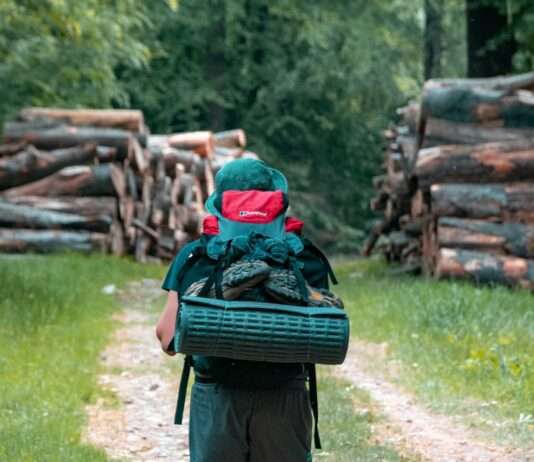 Die Ardennen: Natur, Kultur und Genuss – Eine perfekte Auszeit Wandern_Ardennen