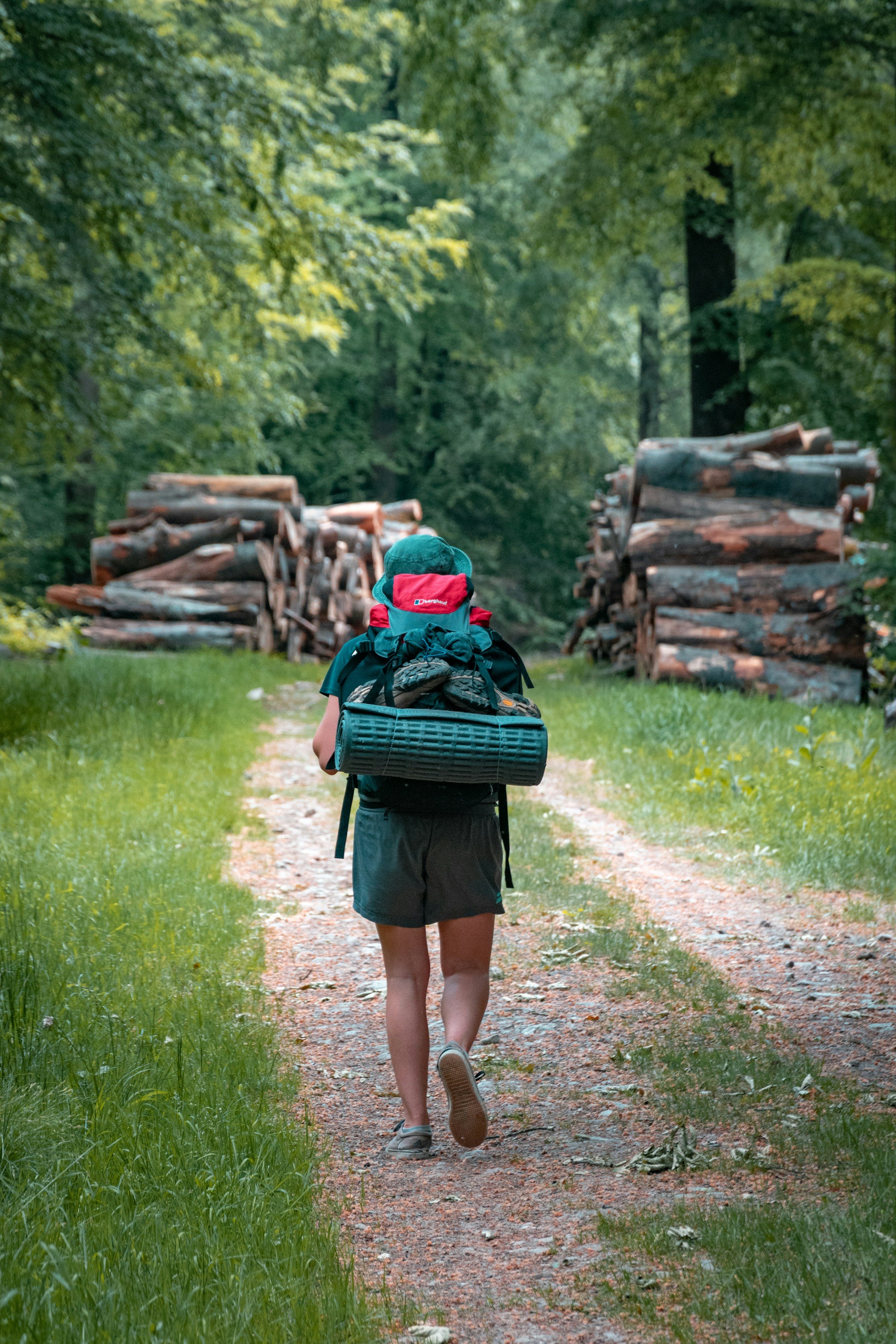 Die Ardennen: Natur, Kultur und Genuss – Eine perfekte Auszeit