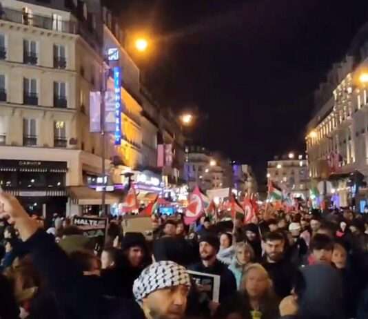 Proteste in Paris: Tausende demonstrieren gegen israelfreundliche Veranstaltung Anti_Israel_Demo_Paris_ScreenX