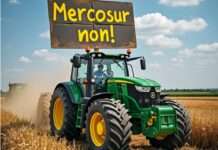 Wut auf dem Acker: Macrons Mercosur-Kurs entfacht Zorn der Bauern Bauernprotest_Mercosur