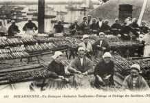 Marseille und die verschwundene Sardine – wie Klima und Märkte den Kultfisch bedrohen Douarnenez_Sardinenarbeiterinnen