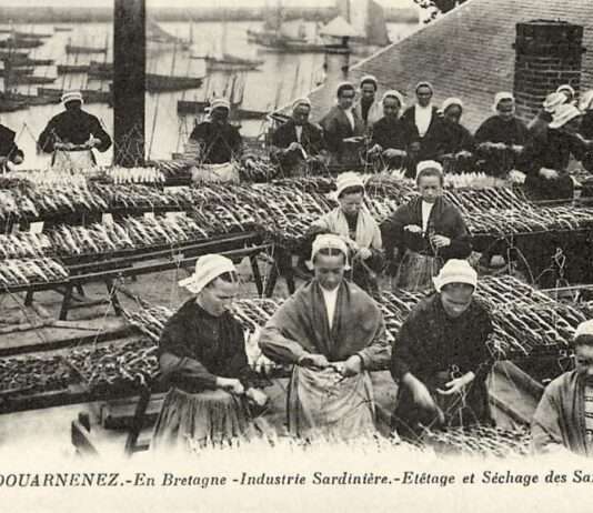 Die kämpferischen Stimmen der Sardinenarbeiterinnen: Eine Erinnerung, die auch nach 100 Jahren weiterlebt Douarnenez_Sardinenarbeiterinnen