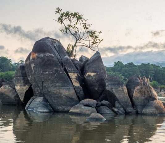 Französisch-Guyana steht vor einer historischen Dürre: Herausforderungen und Notmaßnahmen Fluss_Maroni
