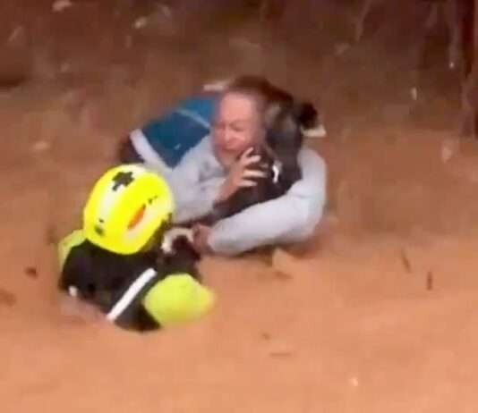 Nach den verheerenden Überschwemmungen in Spanien: Frankreich sendet Rettungsteams zur Unterstützung Rettung_Valencia