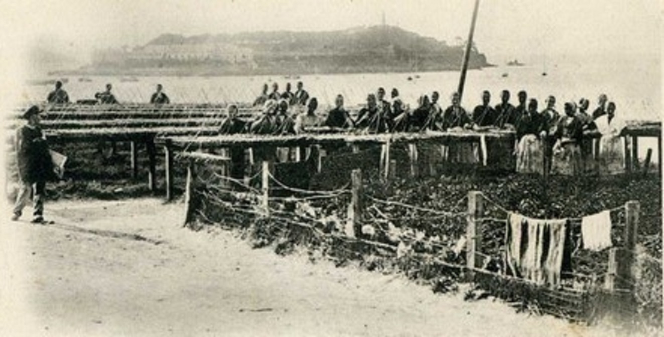 Vor 100 Jahren: Die siegreiche Streikbewegung der Sardinenfabrik-Arbeiterinnen von Douarnenez