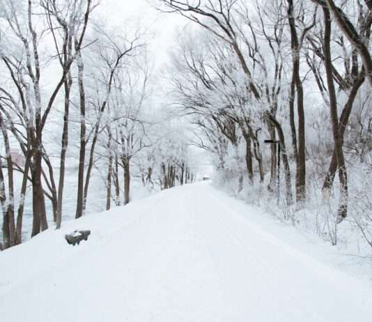 Wintersturm Caetano: Frankreich im Ausnahmezustand Winter