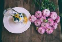 Allerheiligen – Gedenken, Tradition und stille Einkehr in Deutschland und Frankreich Allerheiligen_Chrysanthemen