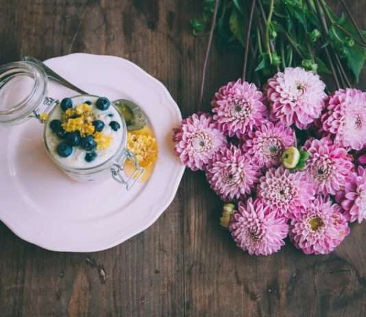 Allerheiligen – Gedenken, Tradition und stille Einkehr in Deutschland und Frankreich Allerheiligen_Chrysanthemen