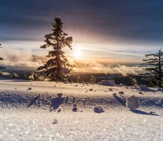 „Eine wunderbare Nachricht“: Der Schnee kehrt in die Alpes-Maritimes zurück Schneelandschaft