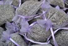 Weihnachten im Lichterglanz der Provence: Der Weihnachtsmarkt in Aix-en-Provence Lavendel