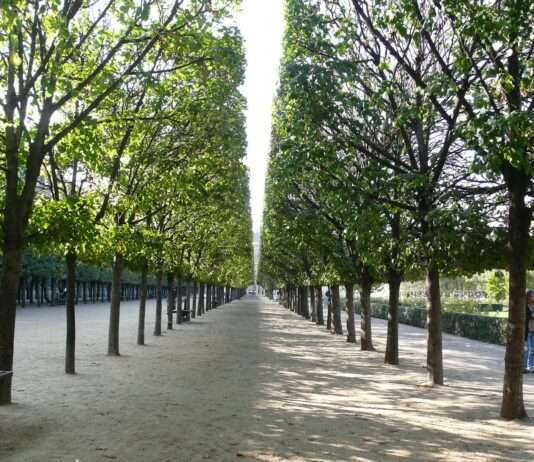 Paris setzt auf Grün: Wie der „bioklimatische“ Stadtentwicklungsplan die Hauptstadt verändern soll Paris_Gruen